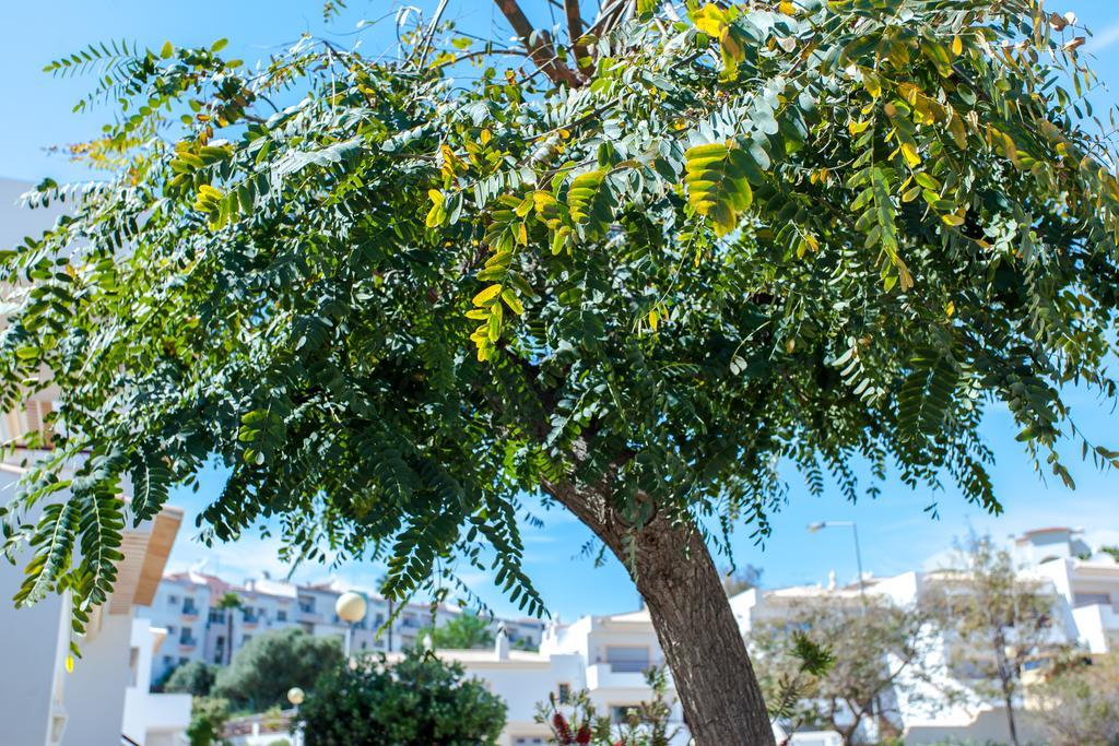 Villa Vista Anders Mar Lagos Eksteriør bilde
